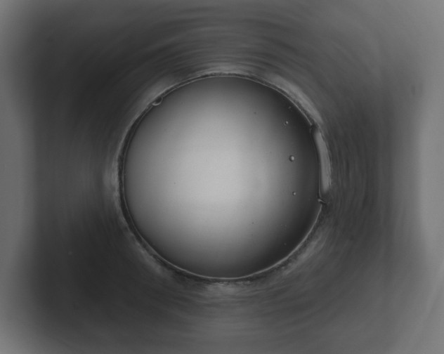 X0000103170898200808291508