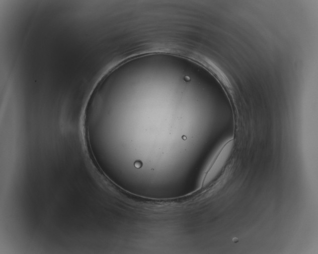 X0000103170899200808291508