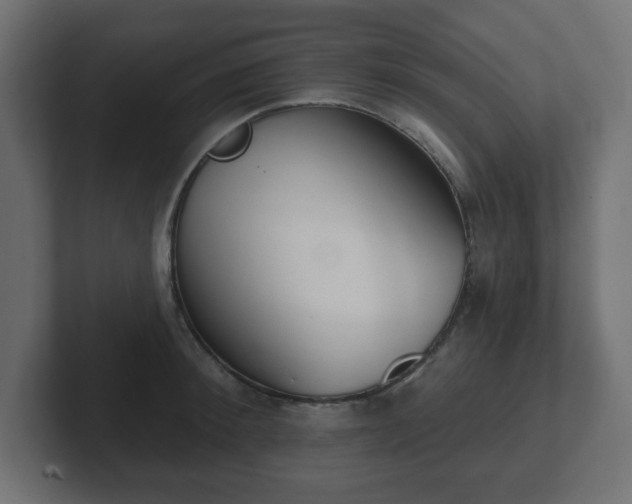 X0000103170900200808291508