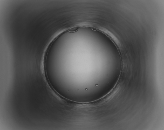 X0000103170902200808291508