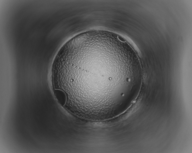 X0000103170903200808291508