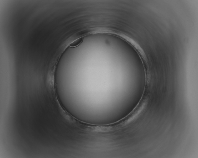 X0000103170905200808291508