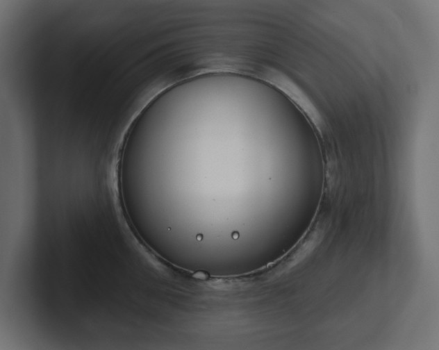 X0000103170906200808291508