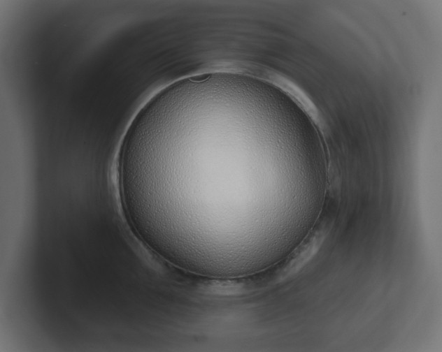 X0000103170907200808291508