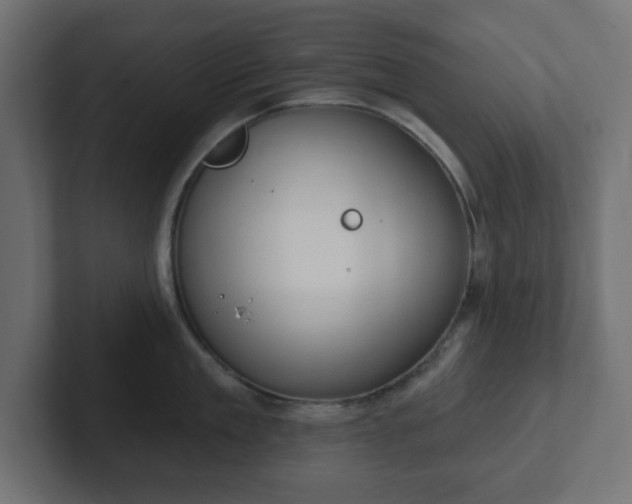 X0000103170909200808291508