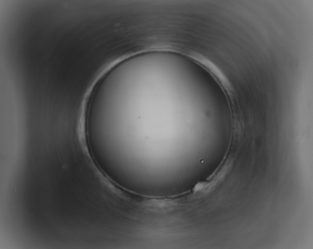 X0000103170910200808291508