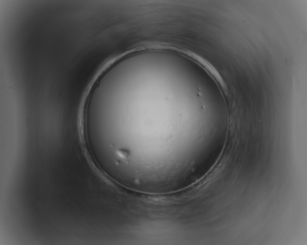 X0000103170911200808291508