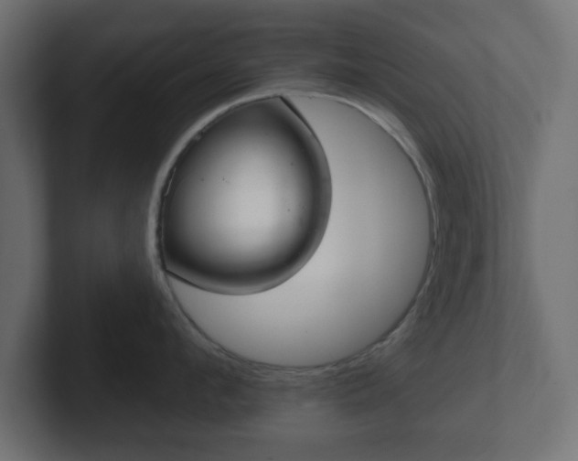 X0000103170912200808291508