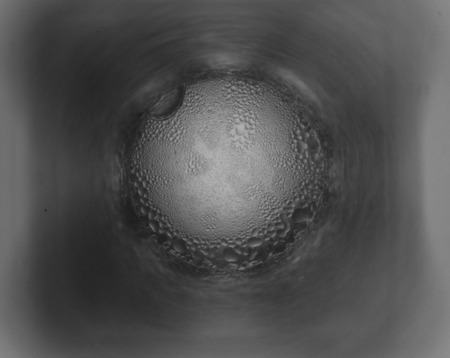 X0000103170917200808291507