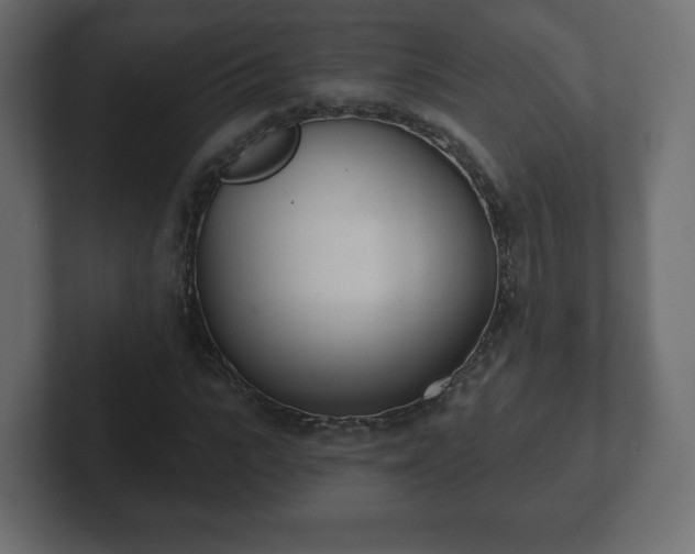 X0000103170919200808291507