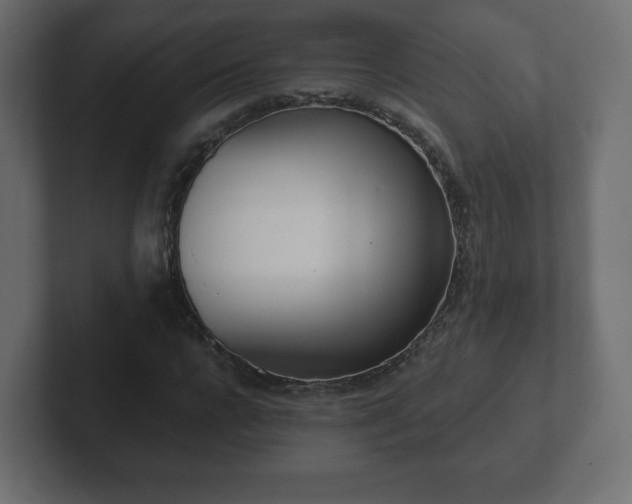 X0000103170920200808291507