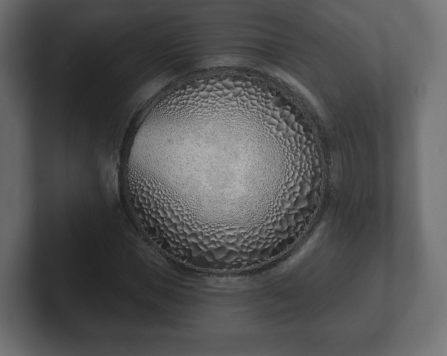 X0000103170921200808291507