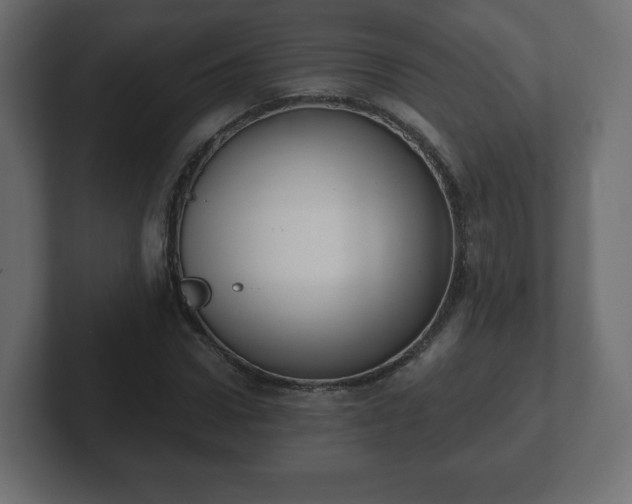 X0000103170922200808291507