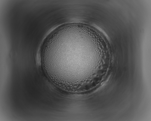 X0000103170925200808291507