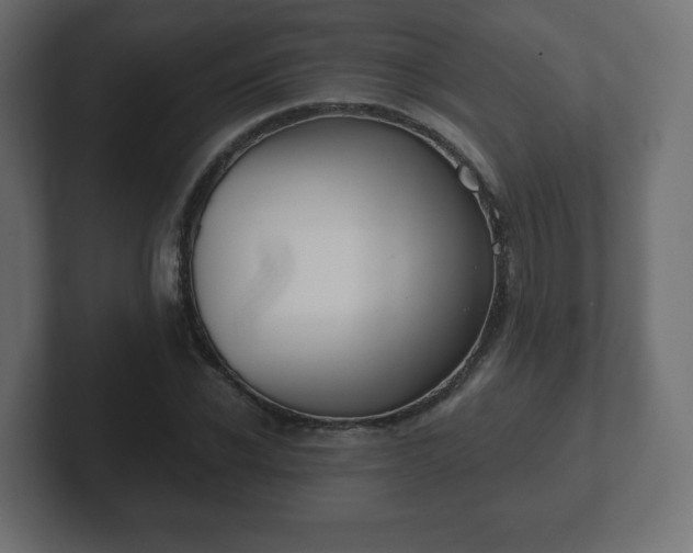 X0000103170926200808291507