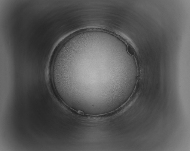 X0000103170928200808291507