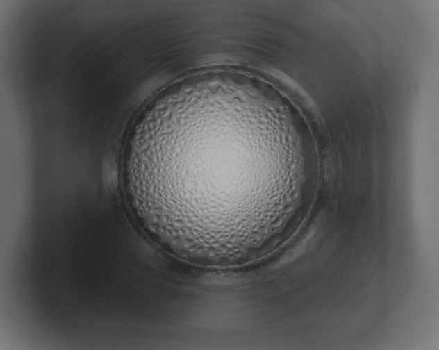 X0000103170929200808291507