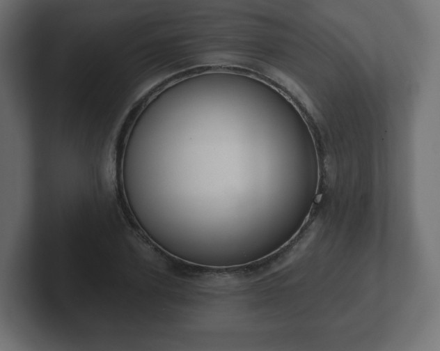 X0000103170931200808291507