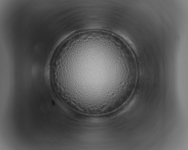 X0000103170933200808291507