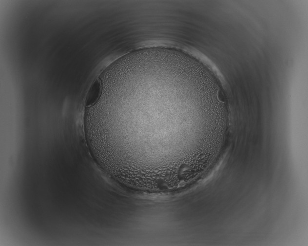 X0000103170937200808291507