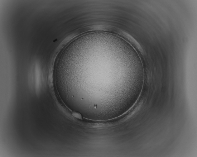 X0000103170938200808291507