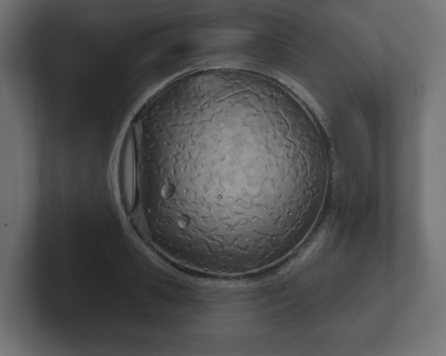 X0000103170941200808291507