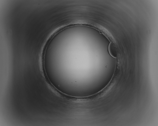 X0000103170942200808291507