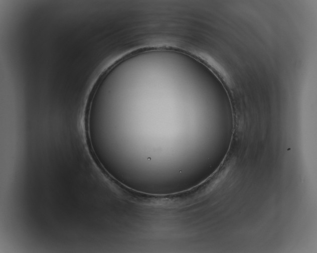 X0000103170943200808291507