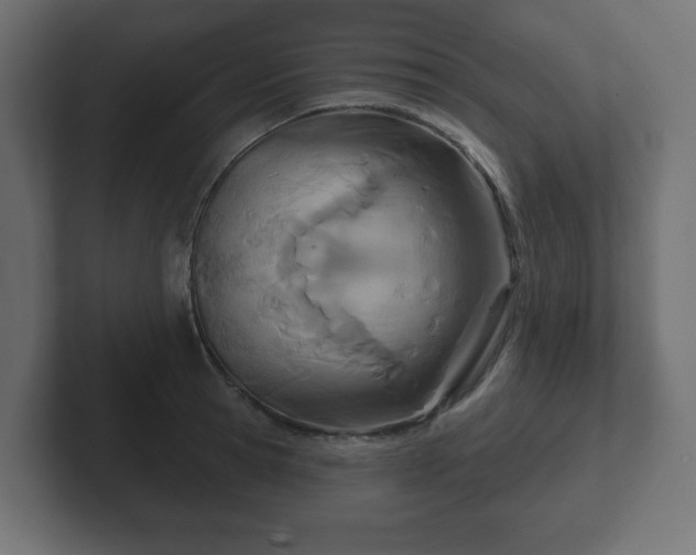 X0000103170945200808291507