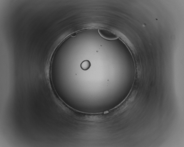 X0000103170946200808291507