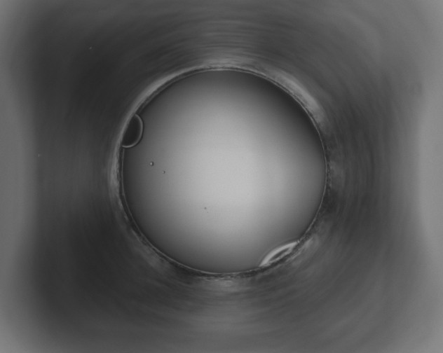 X0000103170948200808291507