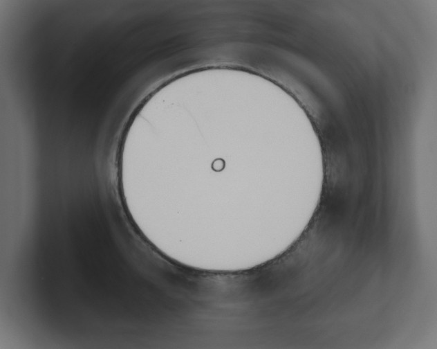 X0000103170950200808291507