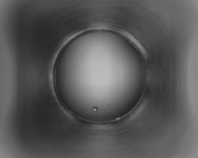 X0000103170951200808291507