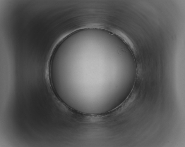 X0000103170952200808291507