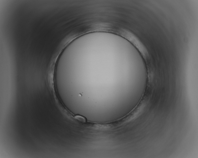 X0000103170954200808291507