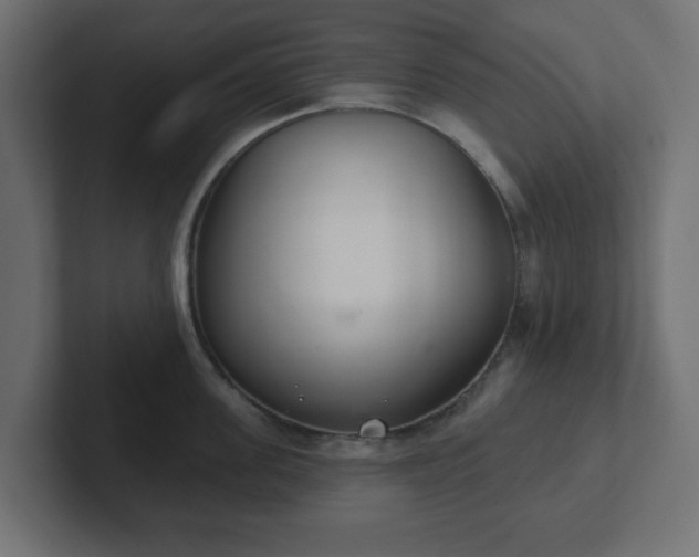 X0000103170955200808291507