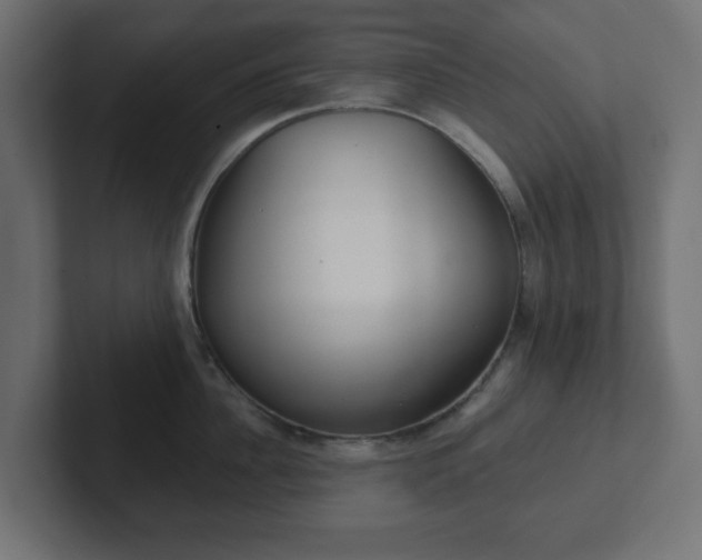 X0000103170956200808291507