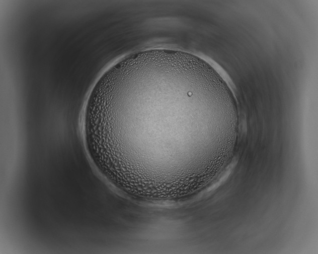 X0000103170957200808291507