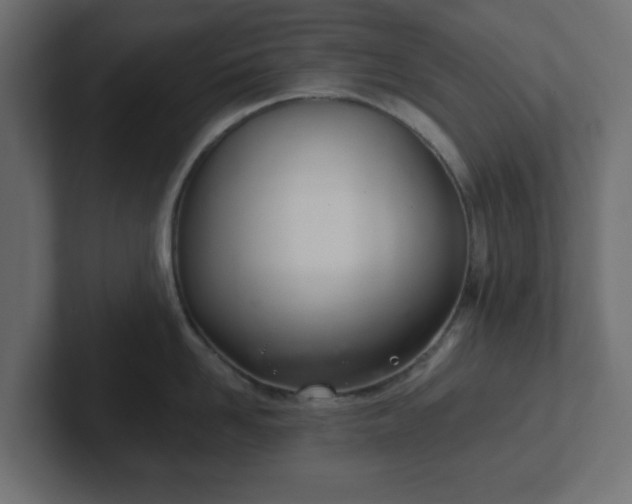 X0000103170958200808291507