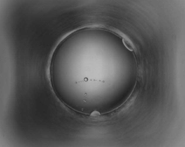 X0000103170959200808291507