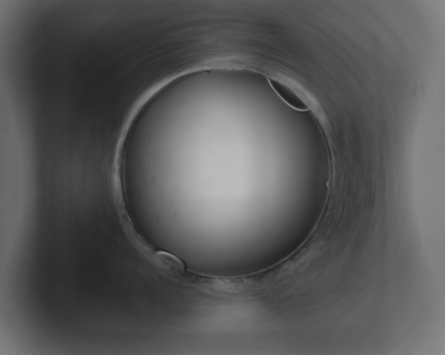 X0000103170960200808291507