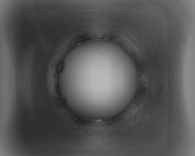 X0000103170961200808291507