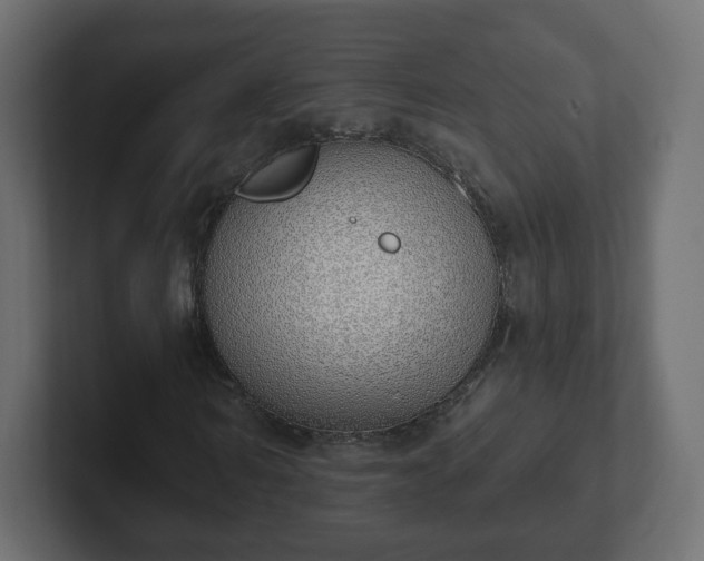 X0000103170962200808291507