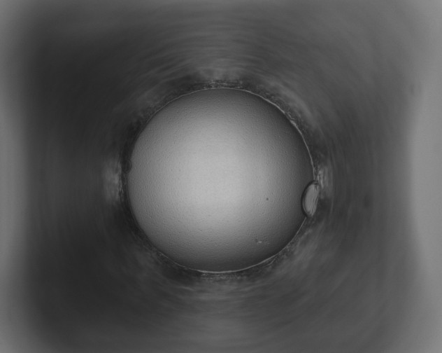 X0000103170963200808291507