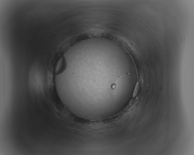 X0000103170964200808291507