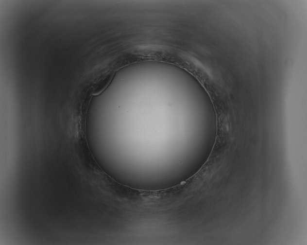 X0000103170965200808291507