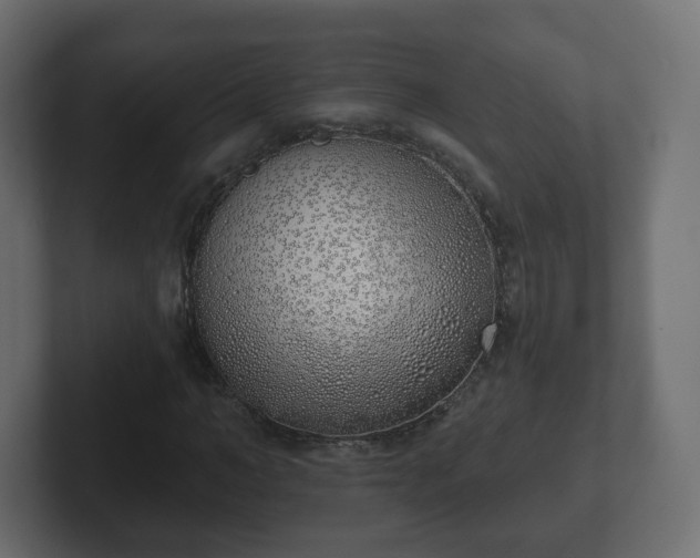 X0000103170966200808291507