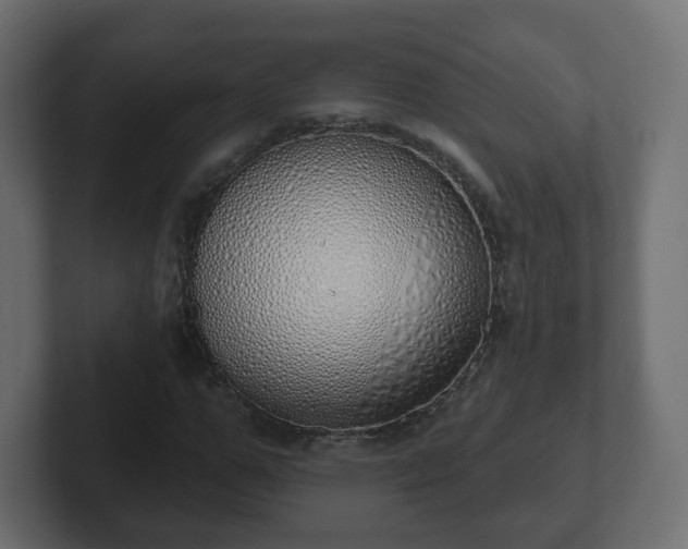 X0000103170967200808291507