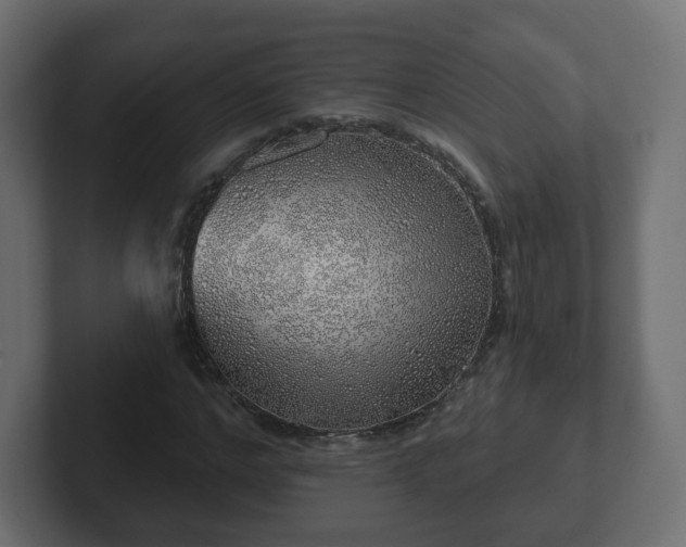 X0000103170968200808291507