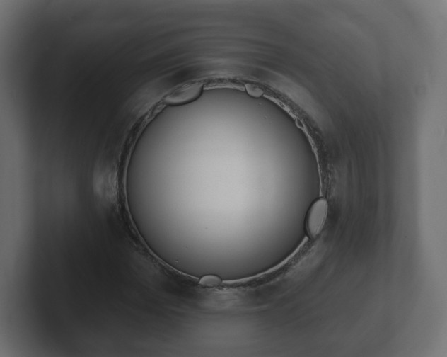 X0000103170969200808291507